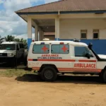 Ebola salgını. 10 Afrika ülkesi risk altında