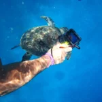 GoPro satılıyor. Çinlilerle mücadele edemedi